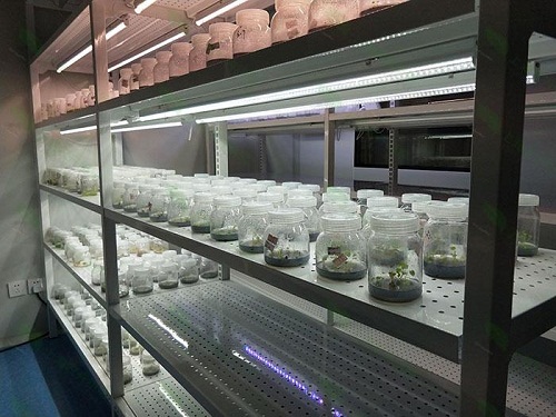 贵南植物组织培养实验室设计建设方案